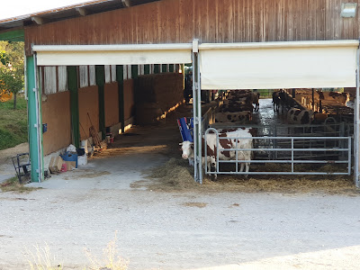 La Ferme de Reculefort à Rochetoirin