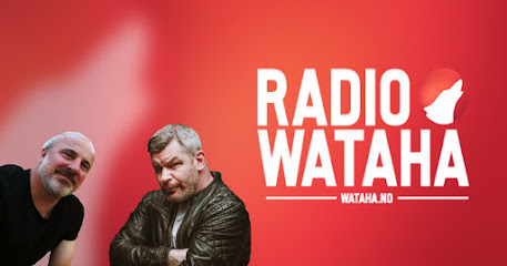Wataha-Radio, Portal, TV