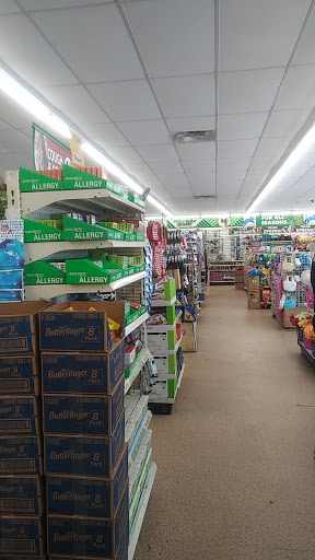 Dollar Store «Dollar Tree», reviews and photos, 8634 Baymeadows Rd, Jacksonville, FL 32256, USA