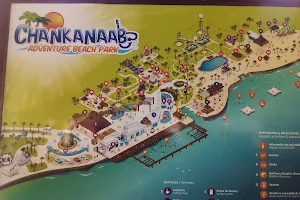 Chankanaab Beach Adventure Park image