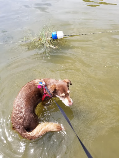 Park «French Regional Park», reviews and photos, 12605 Rockford Rd, Plymouth, MN 55441, USA