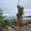 Petone Off Lead Dog Beach