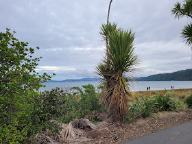 Petone Off Lead Dog Beach