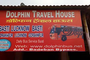 Dolphin Travel house image