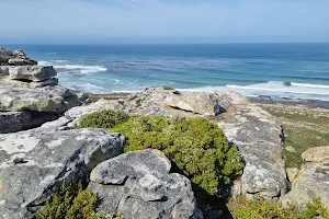 Gifkommetjie image