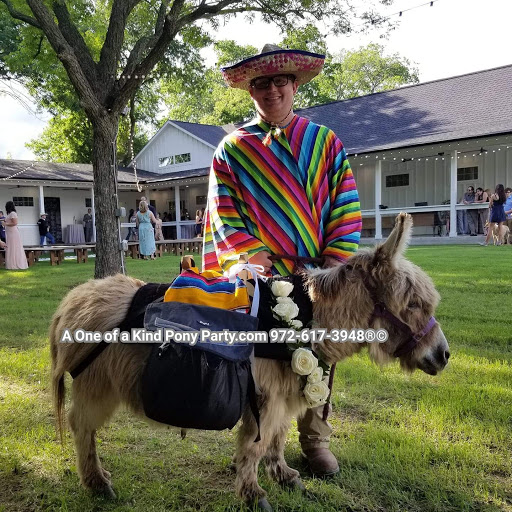 Zoo «A One of A Kind Pony Party», reviews and photos, 912 Bells Chapel Cir, Waxahachie, TX 75165, USA