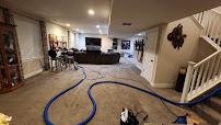 Superior Carpet Solutions - Photo 7 - Car repair in , Denver