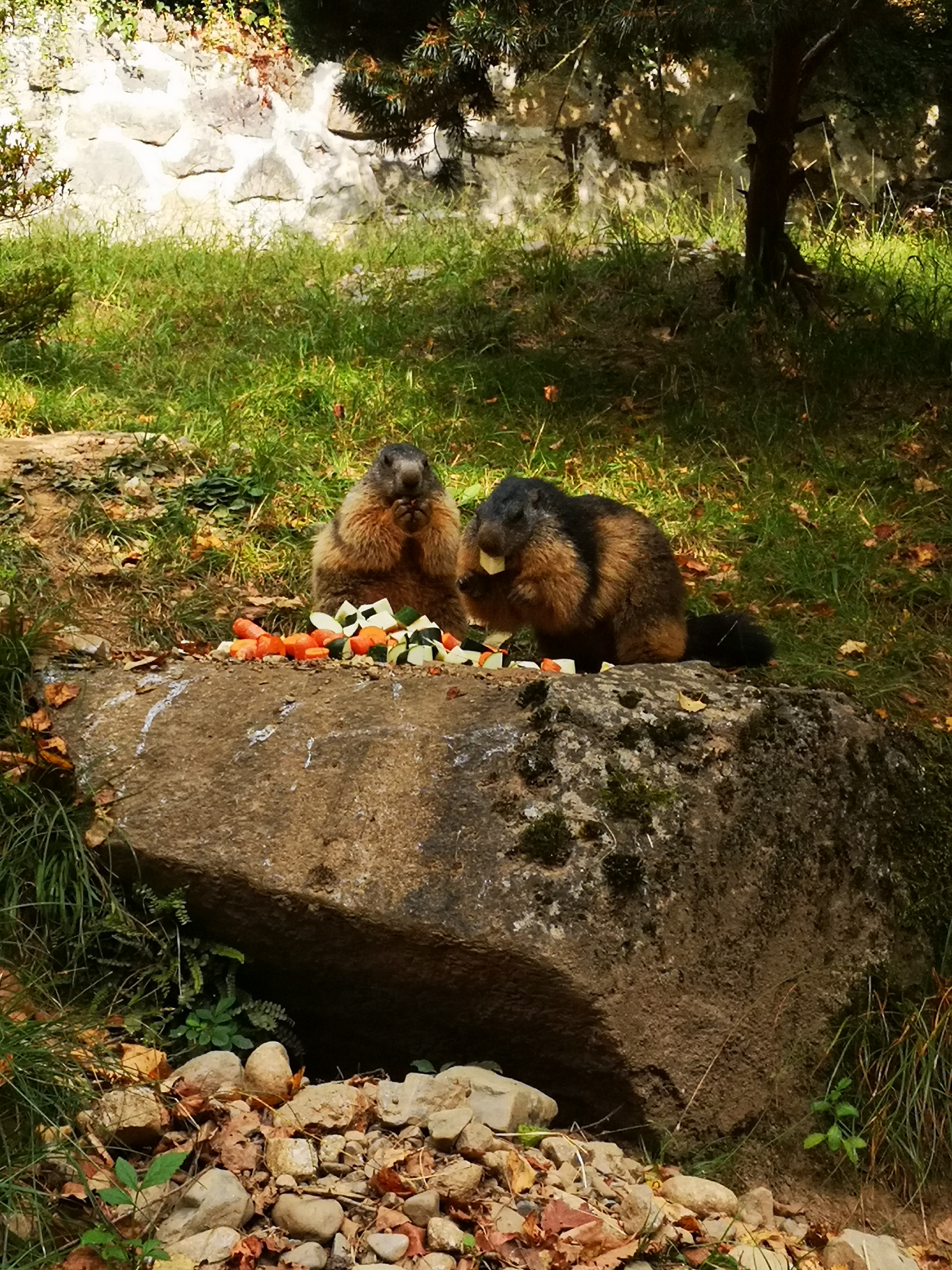 Photo n° 37 de l'avis de Xxx.x fait le 14/08/2020 à 21:01