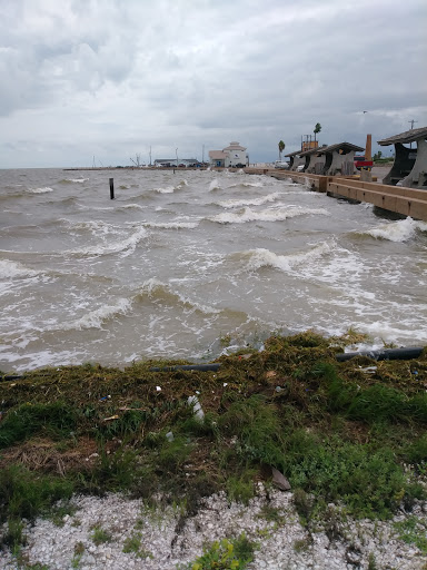Gift Shop «Sea Shell Shoppe», reviews and photos, 120 N Austin St, Rockport, TX 78382, USA