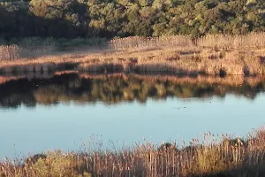 WWF Ente Gestore Riserva Naturale Lago Preola image