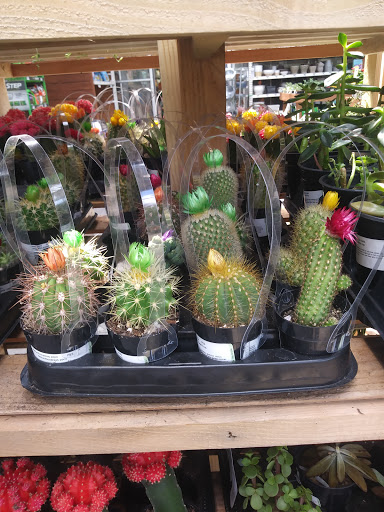 Home Improvement Store «The Home Depot», reviews and photos, 800 Truse Rd, Memphis, TN 38117, USA