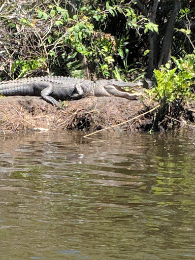 Boat Tour Agency «River Lilly Cruises», reviews and photos, 500 E Prima Vista Blvd, Port St Lucie, FL 34983, USA