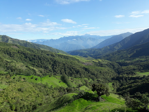 Bosque Nublado Yunguilla