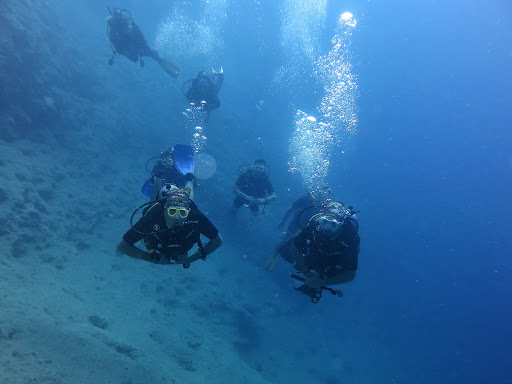 Elite Diving Centre Fethiye