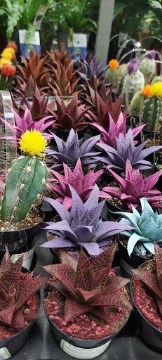 Home Improvement Store «The Home Depot», reviews and photos, 984 Wall Ave, Ogden, UT 84404, USA