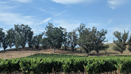 Sonoma Grille and Bar image