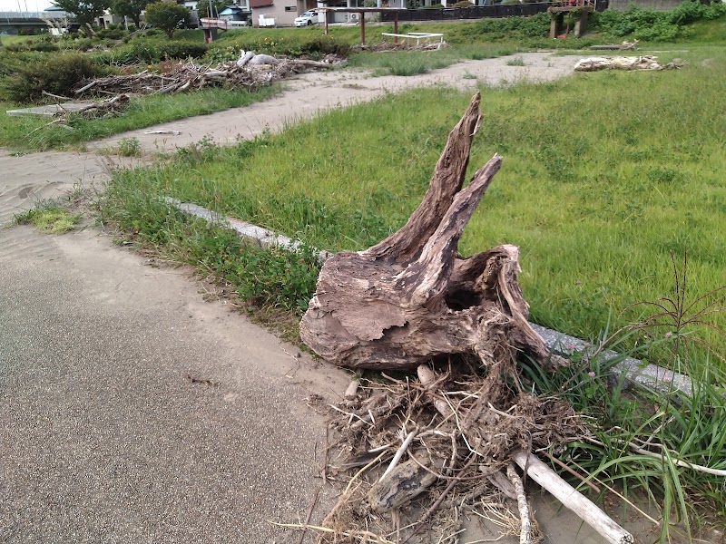 河川公園