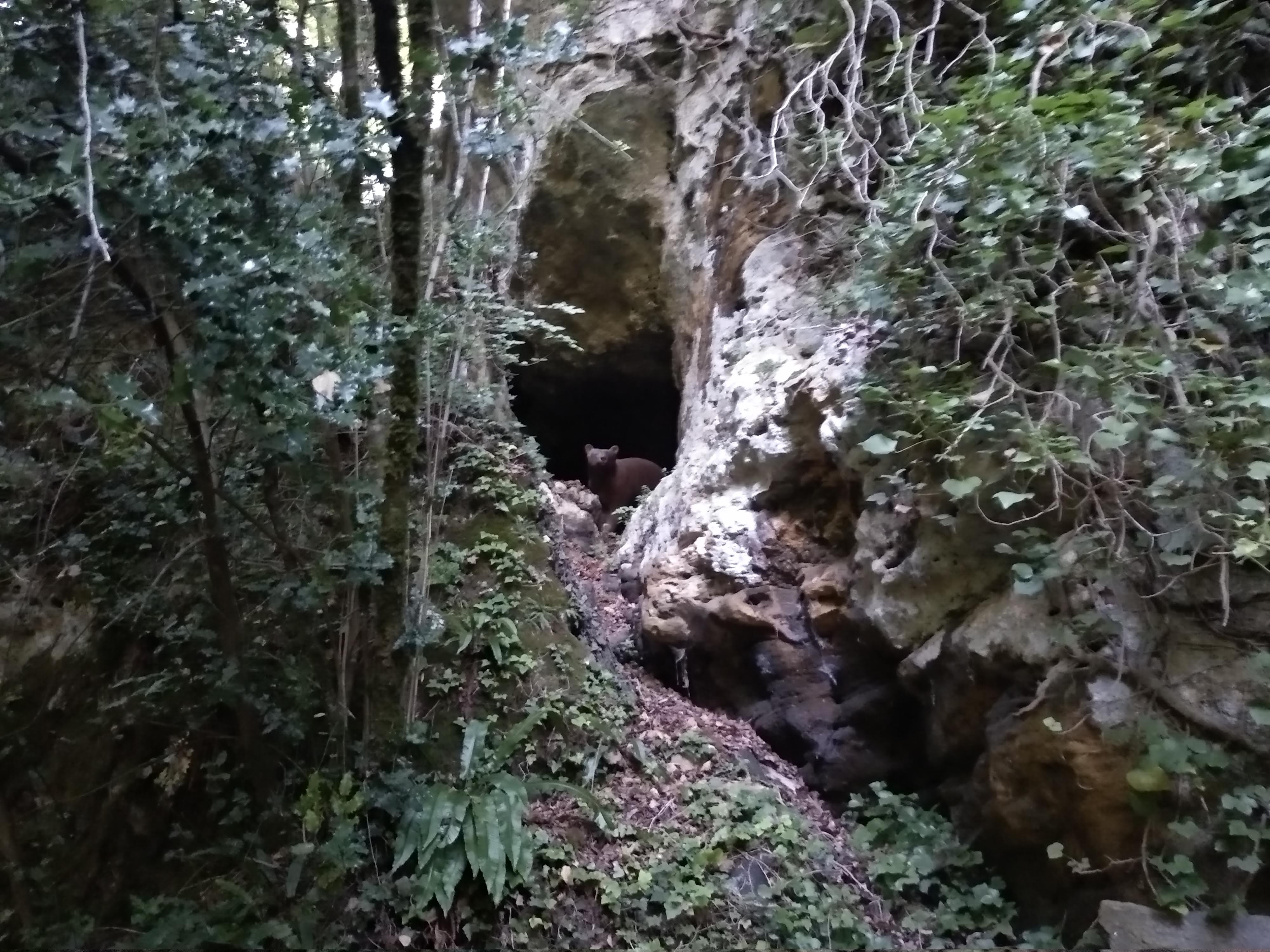 Photo n° 21 de l'avis de Jean-Marc. fait le 23/08/2019 à 18:05
