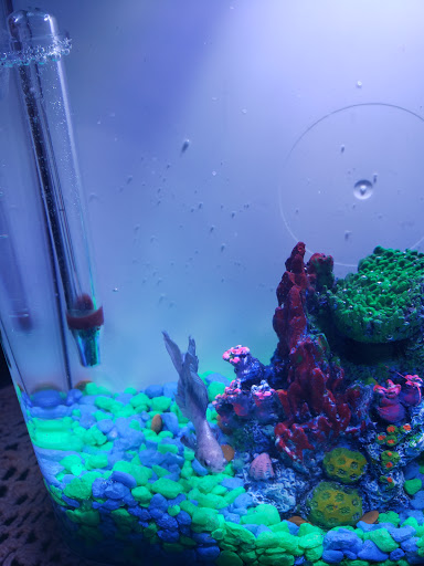 Pet Supply Store «PetSmart», reviews and photos, 13720 Riverside Dr, Sherman Oaks, CA 91423, USA