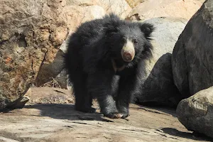 Daroji Sloth Bear Sanctuary image