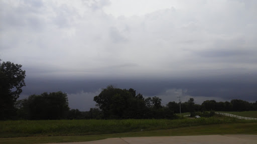 Home Goods Store «Dollar General», reviews and photos, 7730 Old Hwy 41 N, Adams, TN 37010, USA