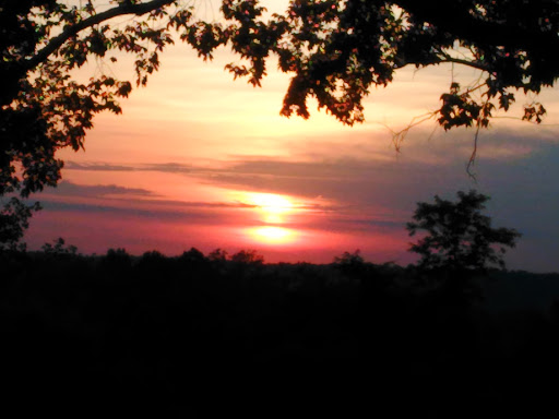 Golf Course «Hazelburn Golf Course», reviews and photos, 2470 Lynnville Hwy, Cornersville, TN 37047, USA