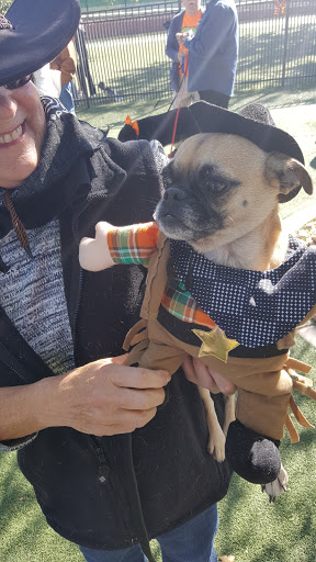 Park «Stonebrook Park», reviews and photos, 14431 W Ely Dr, Surprise, AZ 85374, USA