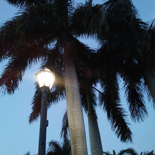 Bar «Smoke on the Water», reviews and photos, 1630 Bell Tower Ln, Weston, FL 33326, USA