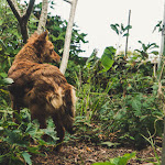 Photo n° 2 de l'avis de Camille.o fait le 30/08/2023 à 11:10 pour Sauvade à Tessancourt-sur-Aubette