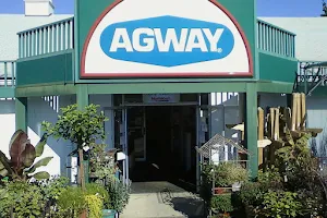 Morristown Agway image