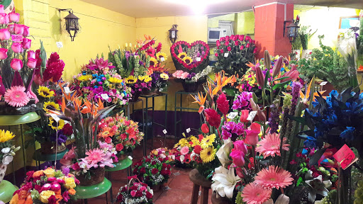 Floreria Morales – Metepec