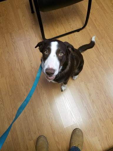 Thrift Store «Salvation Army», reviews and photos