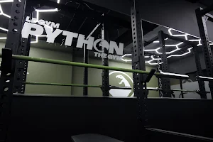 Python The Gym image