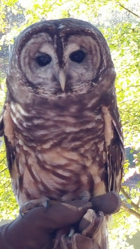 Wildlife Park «Charlie Elliott Wildlife Center», reviews and photos, 543 Elliott Trail, Mansfield, GA 30055, USA