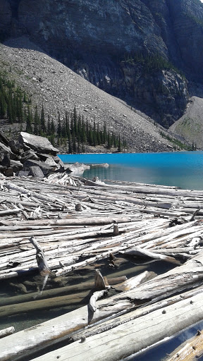 Insurance Agency «Allstate Insurance Agent: Syed Raza», reviews and photos