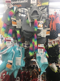 Pet Supplies Plus Columbia - Five Points - Photo 6 - Car repair in Columbia, SC, Columbia