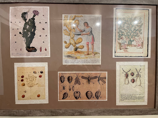 Museum «Spanish Military Hospital Museum», reviews and photos, 3 Aviles St, St Augustine, FL 32084, USA