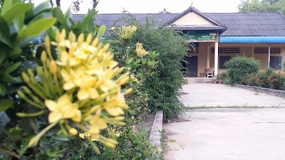 school