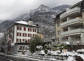 Hotel Rigi Vitznau