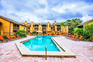 Waterstone at Carrollwood Apartments image