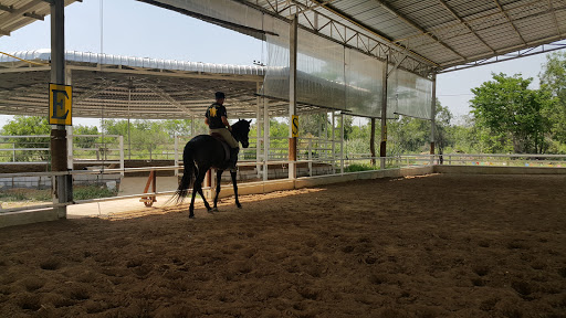 Horse Master Thailand