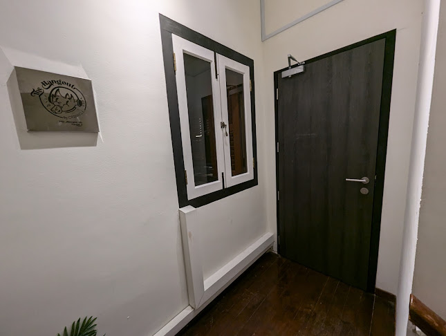 Opening hours for The Hangout by Crinacle