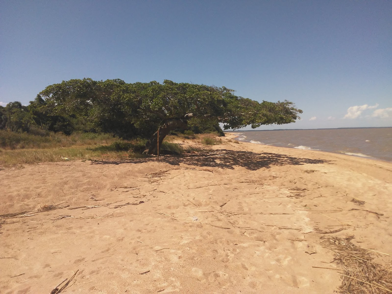 Foto von Praia Do Ziba wilde gegend