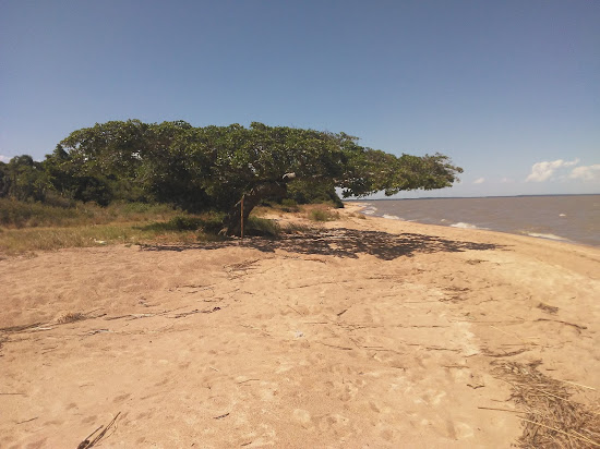 Praia Do Ziba