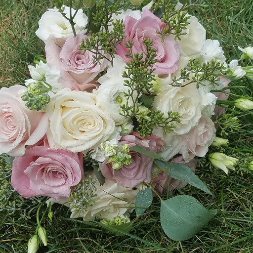 Wholesale Florist «Green Village Flowers», reviews and photos, 5457 Keystone Ct, Plainfield, IL 60586, USA