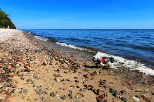 Psia plaża Oksywie image