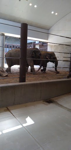 Tourist Attraction «Elephant Trails», reviews and photos, 3001 Connecticut Ave NW, Washington, DC 20008, USA