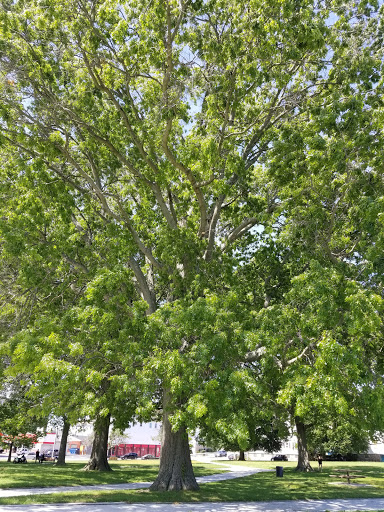 Park «Kelly Park», reviews and photos, S Main St & Globe St, Fall River, MA 02724, USA