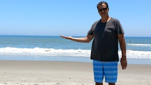 Beach Island Resort - photo 40
