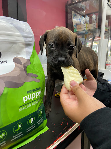 Pet Supply Store «Haute Dogs Boutique & Barkery», reviews and photos, 507 Georgia St, Vallejo, CA 94590, USA